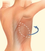 08_latissimus-back-01