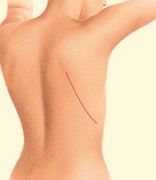 08_latissimus-back-02