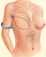 09_latissimus-front-01